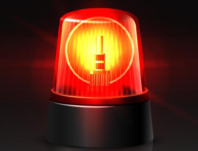 Increased Operational Efficiency