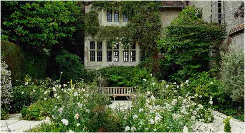 Create Your Dream Garden: A Simple Planning Guide