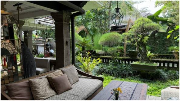 Picking the Right Plants