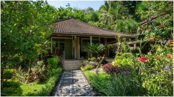 Smart Layout Strategies