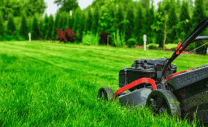 Green Beginnings How to Start Your Own Lawn Care Business