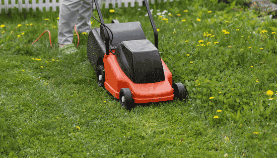 Understanding the Opportunity