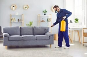 How Pest Control Services In Orange County Help Prevent Costly Damage