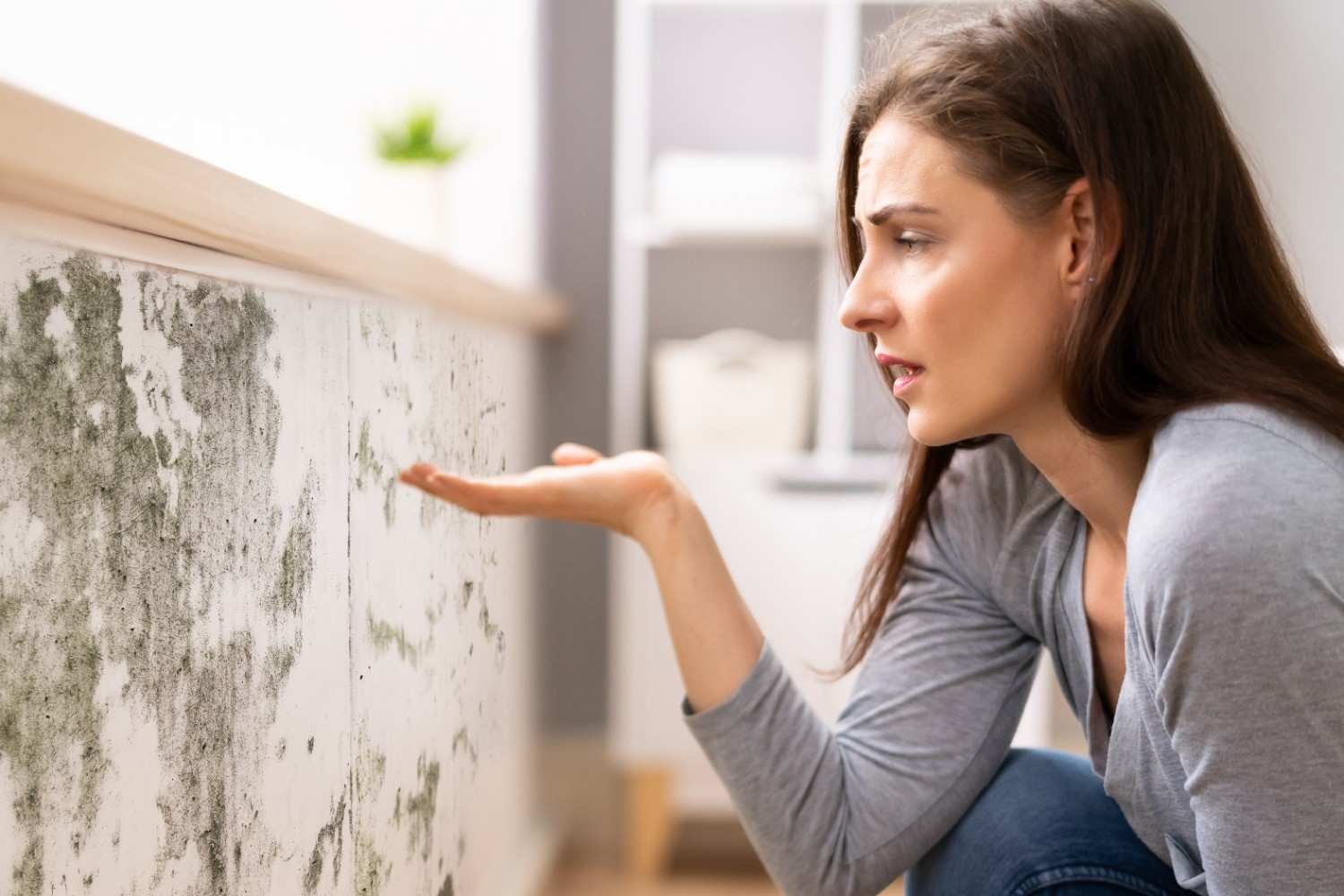 How to Tell If You're Experiencing Mold Exposure